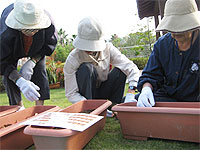 球根植え会