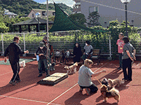 わんわん祭り