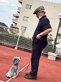 わんわん運動会